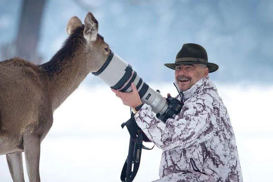 deer looks for food in camera