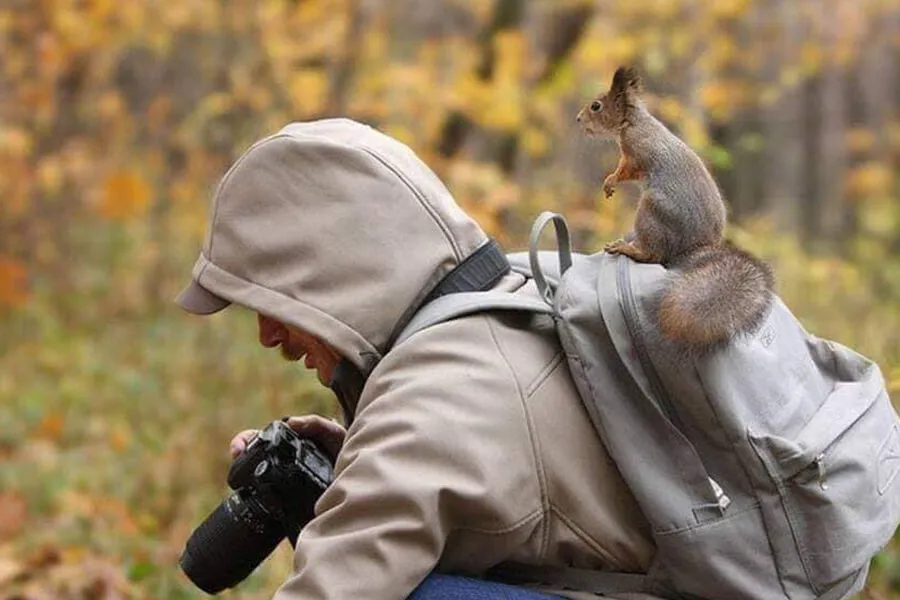 squirrel help take photos