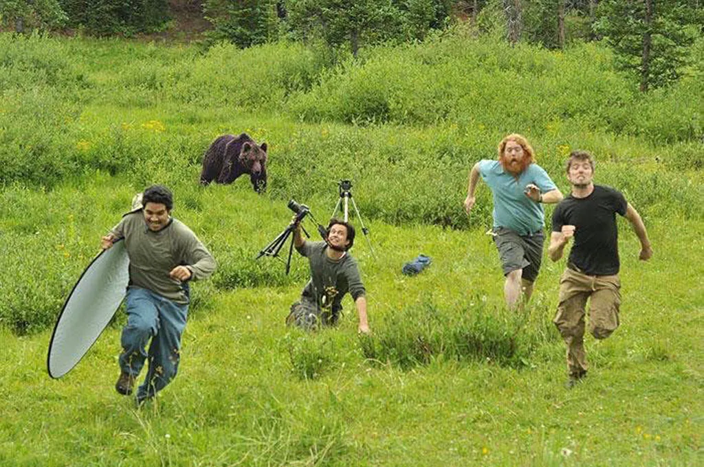 bear-running