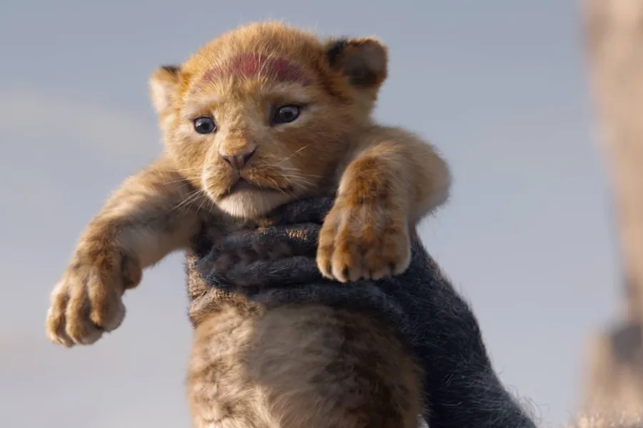 lion king live action 2019 disney