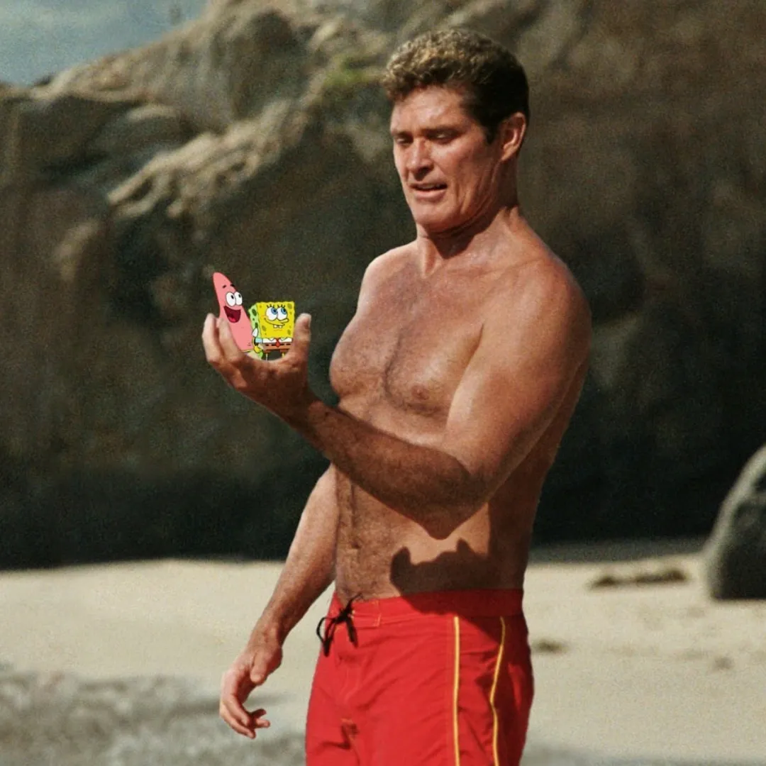 hasselhoff 11