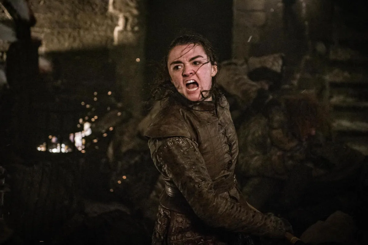 Arya in battle got