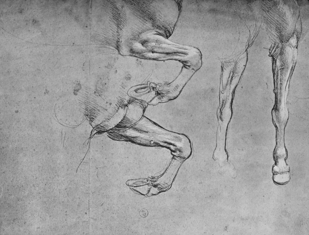 Four Studies of Horses' Legs', c1480 (1945). From The Drawings of Leonardo da Vinci. 