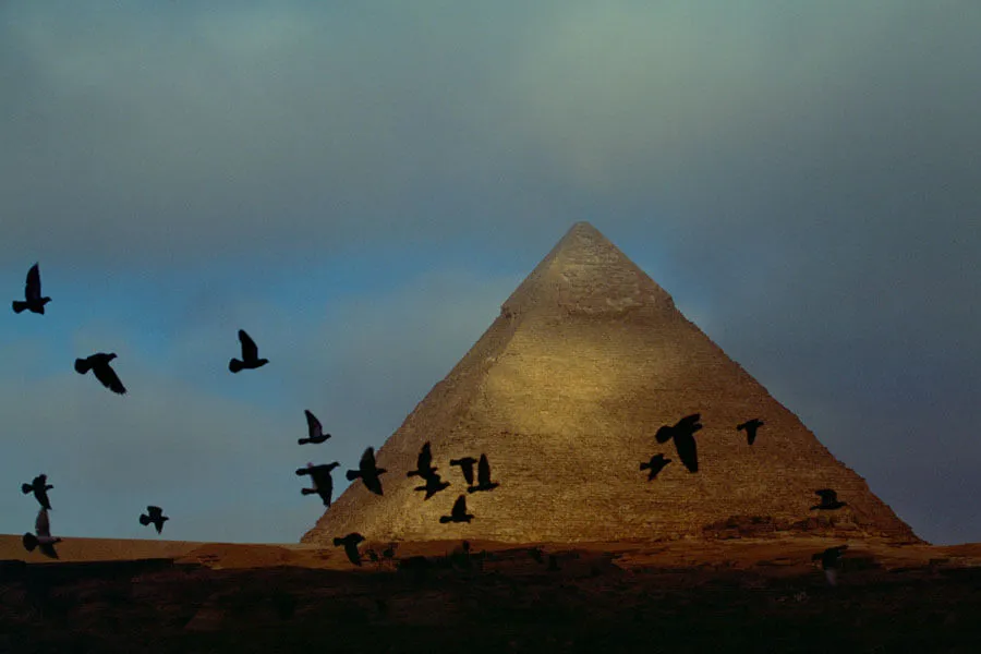 Great-Pyramid-at-Giza-birds
