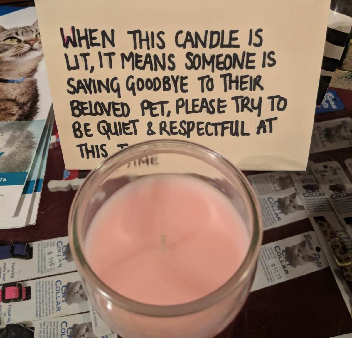 pet candle lit when mourning