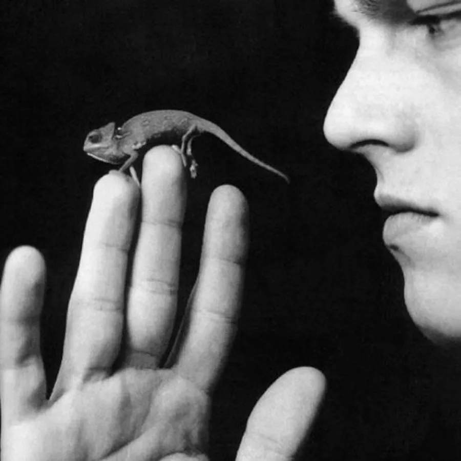 Leonardo DiCaprio poses with his lizard