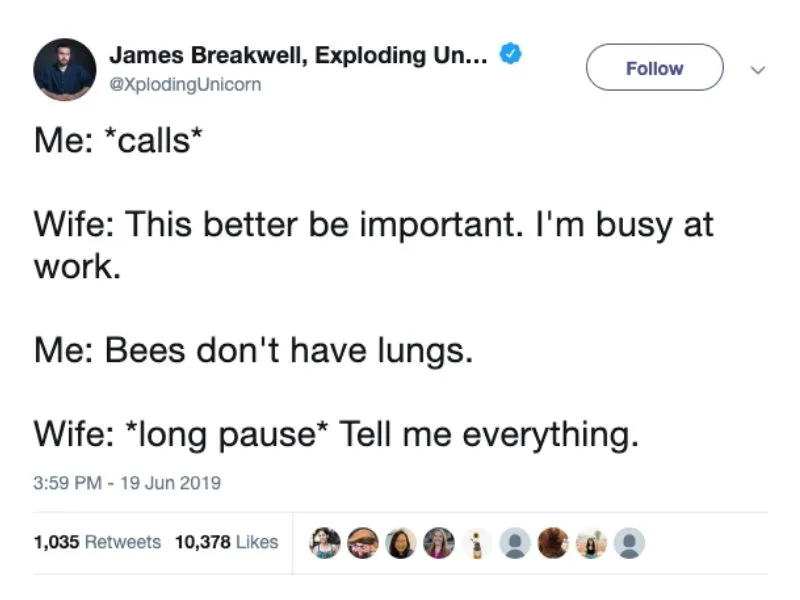 bees don't have lungs marriage tweet