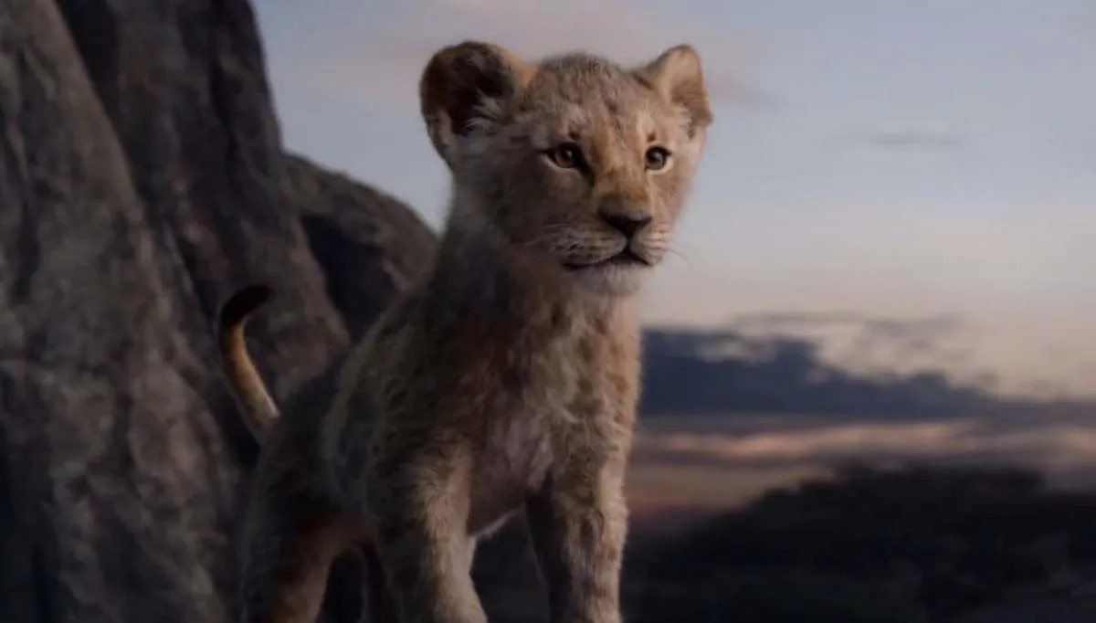 young simba has been brought to life in a live action remake of the disney classic the lion king