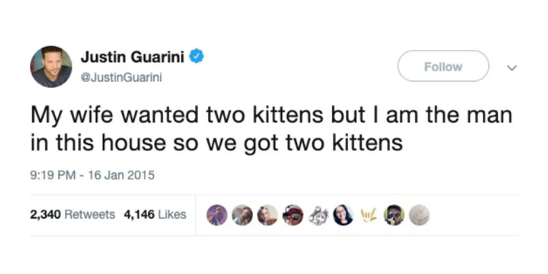 two kittens marriage tweet