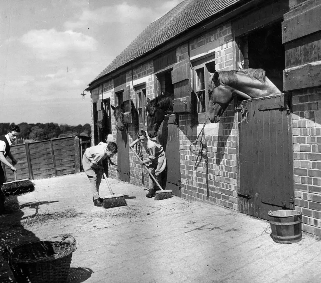 GettyImages-3163192 A young apprentice jockey Lester Piggott helps clear up the stable yard, watched with interest by the horses in their boxes