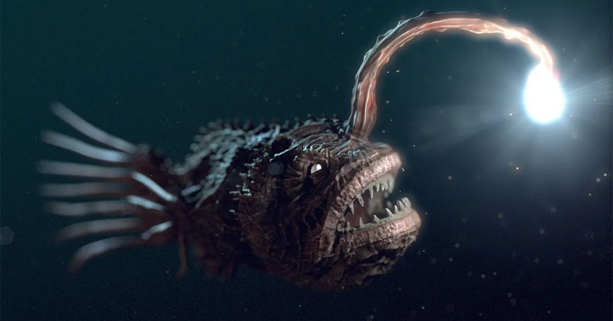 angler fish with sharp teeth and light antenna swimming in the ocean