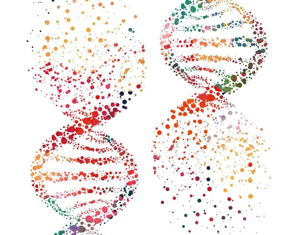 artwork of two DNA strands with multi-colored blotches
