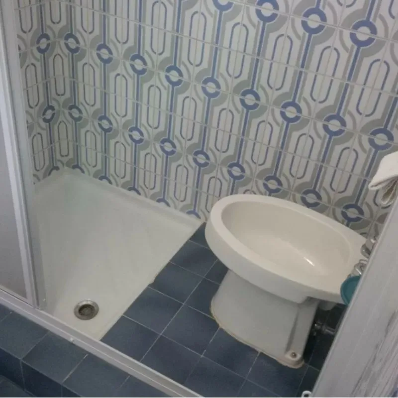 dual bathroom shower and toilet in one room