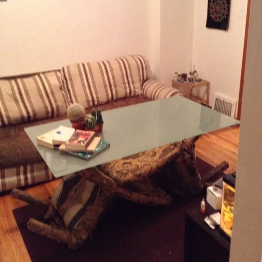 makeshift coffee table with glass and chair