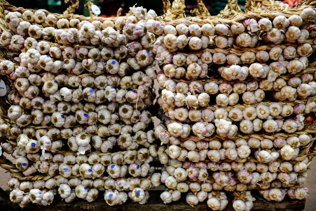 Stacks of garlic -1160528403