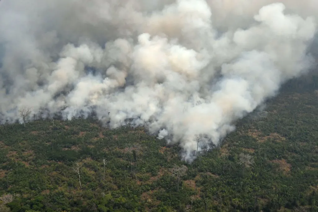 An aerial view shows a large mass of smoke billowing through the forest.