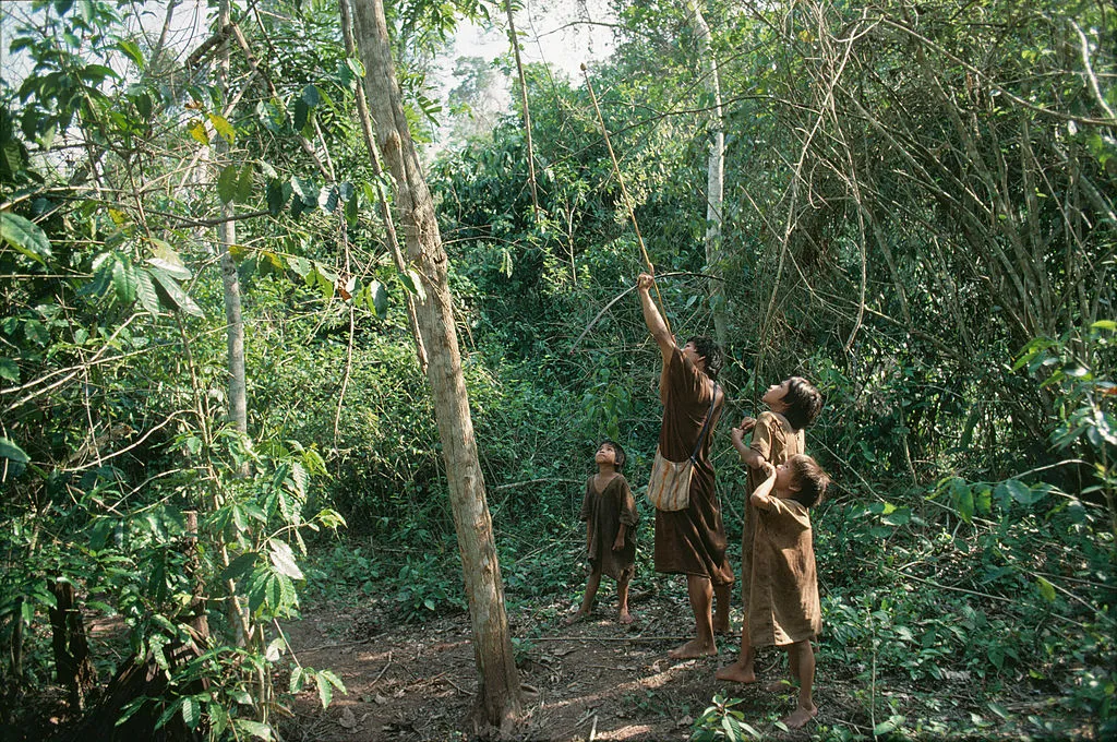 Three young indigenous watch as a older boy shoots an arrow into the treetops.