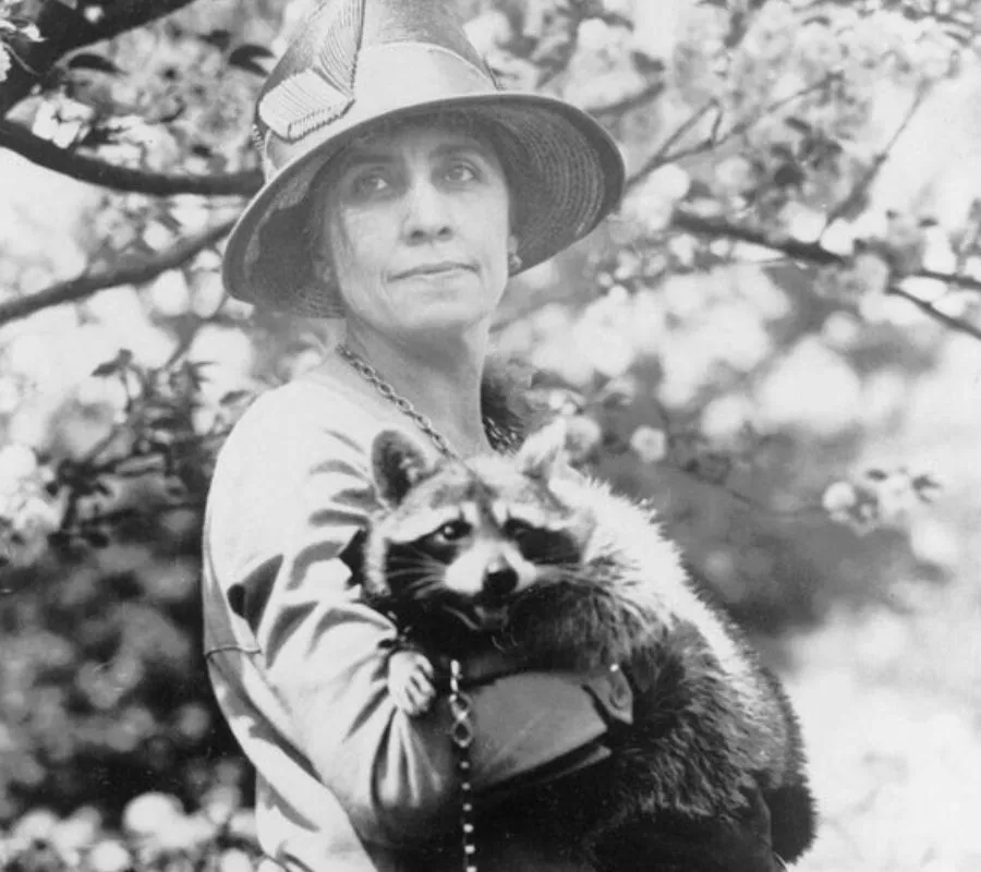 first lady and her raccoon 