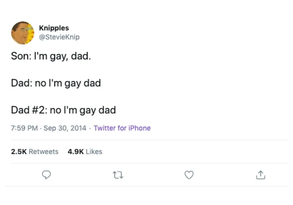 im gay dad tweet about dad jokes