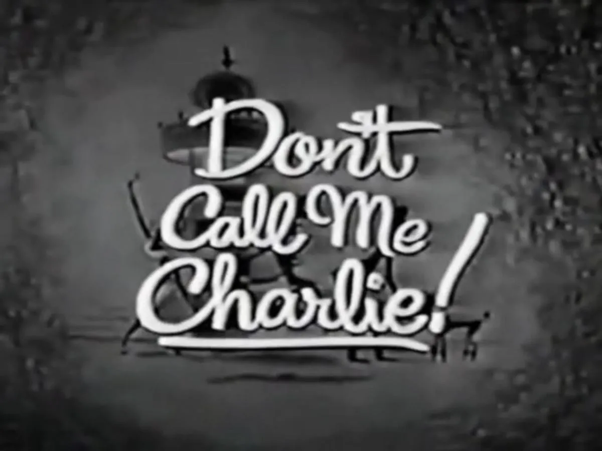 dont call me charlie tv show