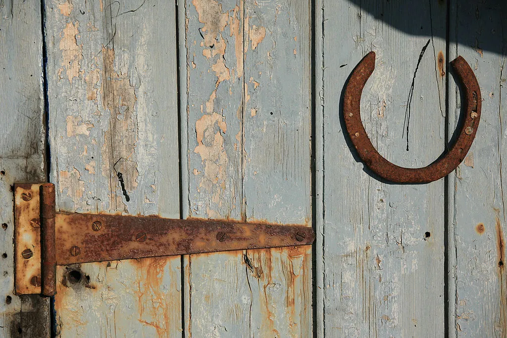 Detail of an old wooden door with rusted hinges