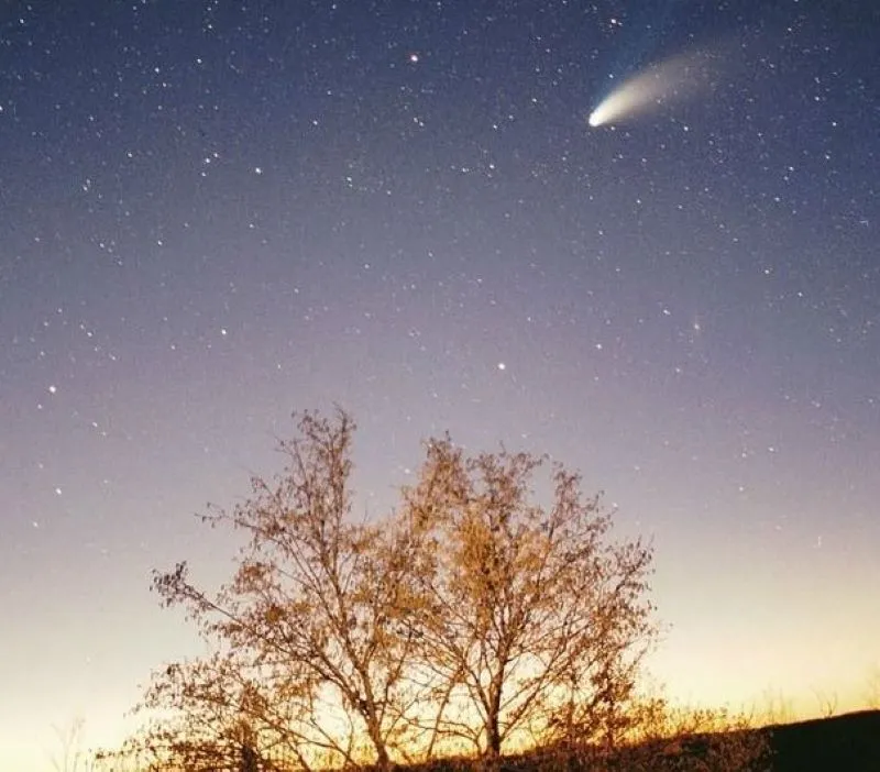Halley's Comet Brought Bad Luck
