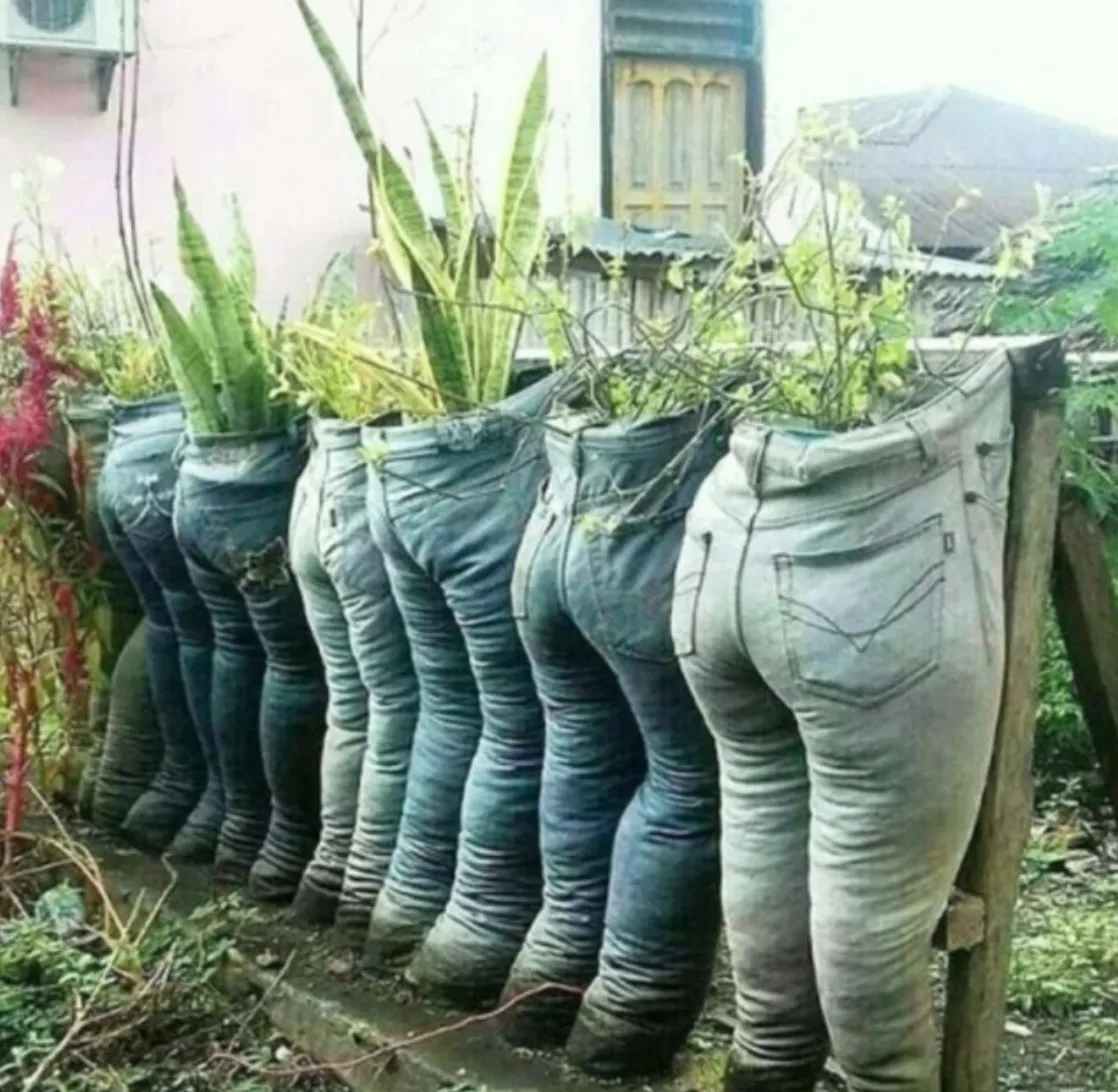person uses jeans as pots for plants