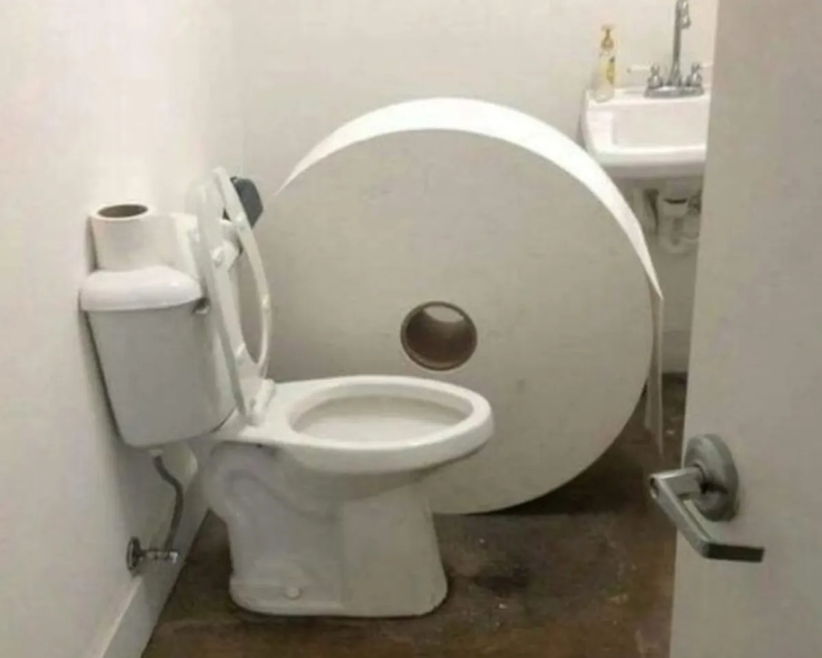 Toilet With Huge roll of toilet paper next to it