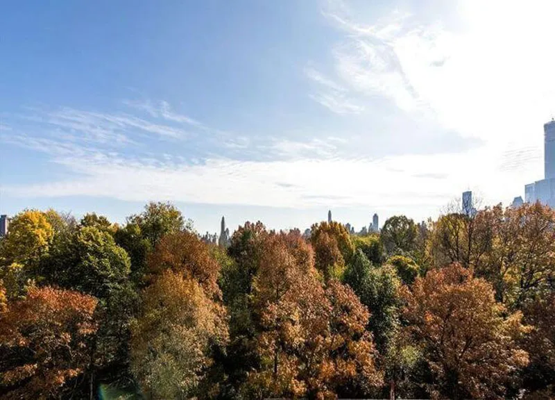 Sweeping-Views-Of-Central-Park