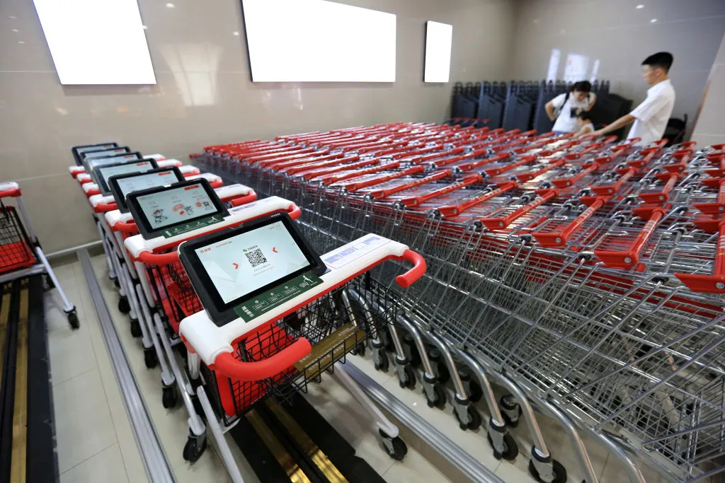 Self-service check-out shopping carts 