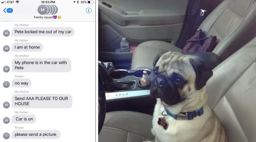 a woman got locked out of her car by the dog 