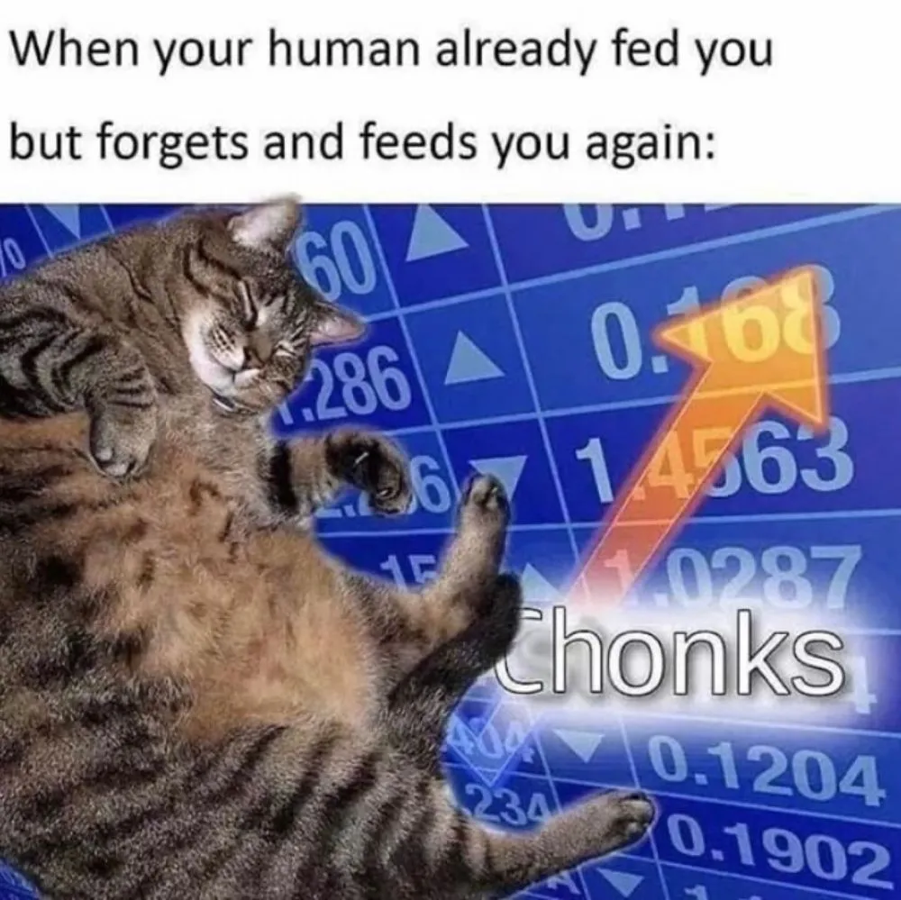 when your human already fed you but forgets and feeds you again (increase in chonks)