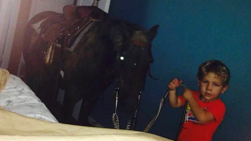 a boy brings a horse into the bedroom