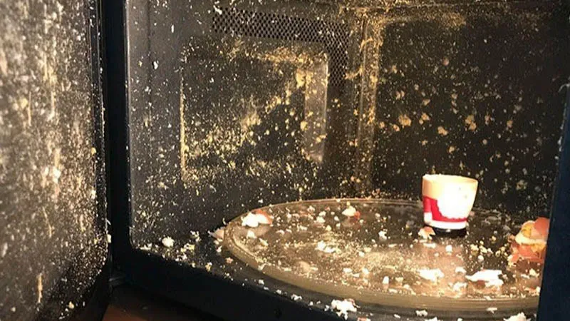 microwave explosion from an egg