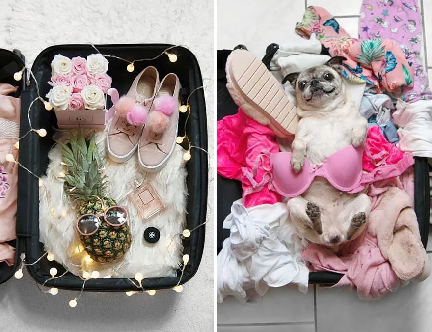 suitcase reality