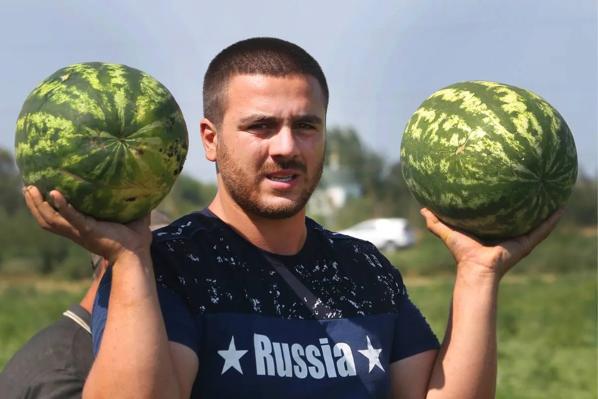A Russian harvester holds up two watermelons.