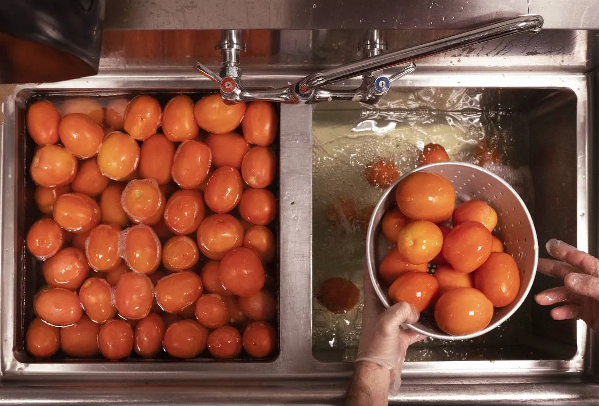 A person washes tomatoes in a colander in the sink.
