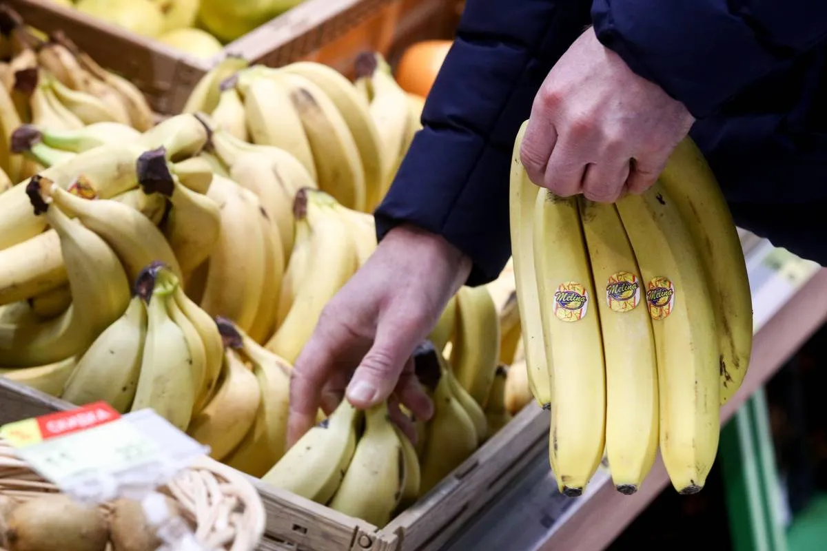 A man shops for bundles of bananas at a supermarket.