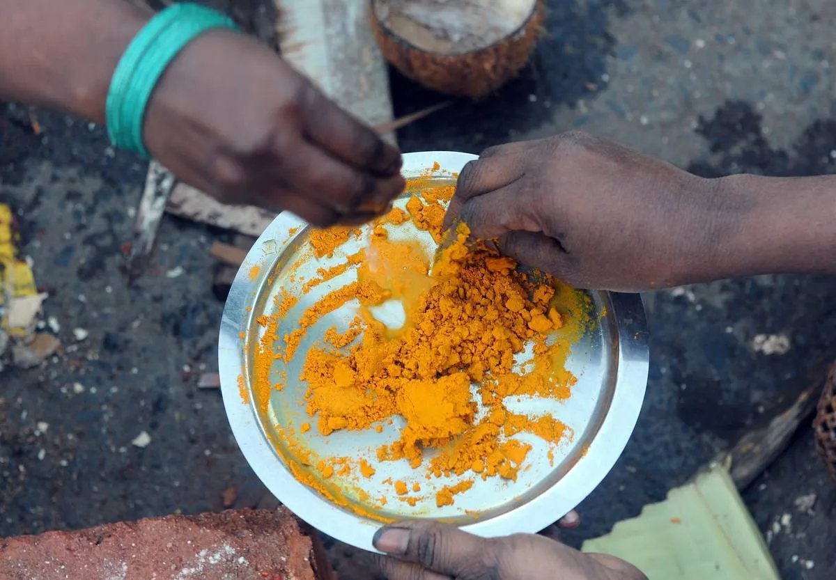 Women pick up powdered turmeric from a plate.