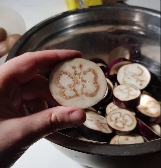 sliced eggplant has a butterfly design in seeds