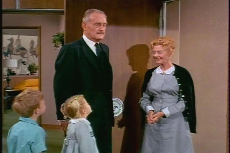 John Williams appears on an episode of Family Affair.