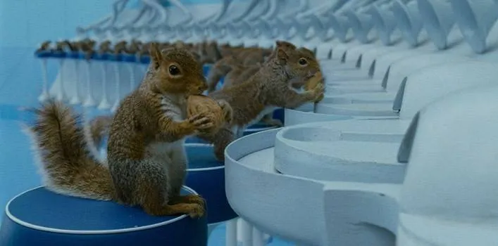 charlie-chocolate-factory-squirrel