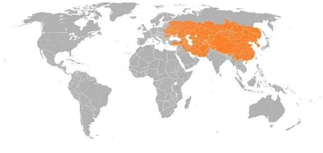 The Reach Of The Mongolian Empire In 1279