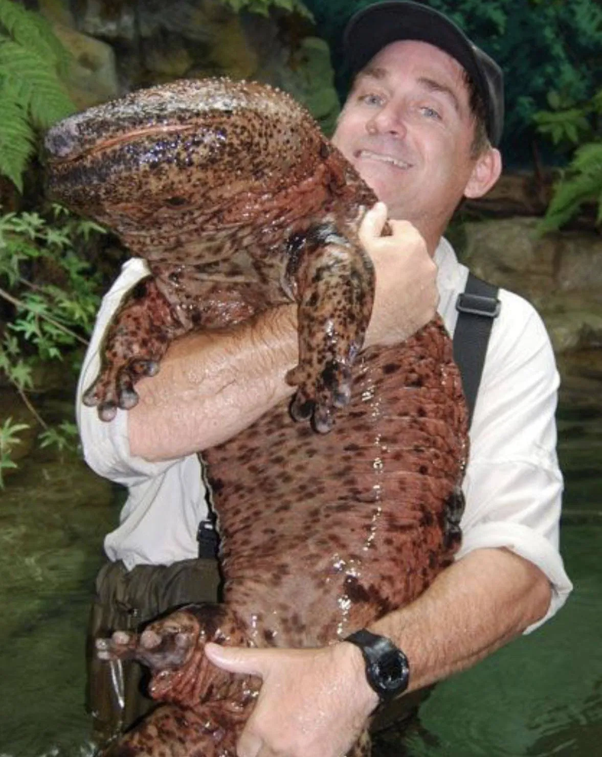man holding salamander at least half the size of his body