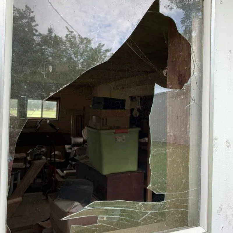 a broken window that looks like a dog