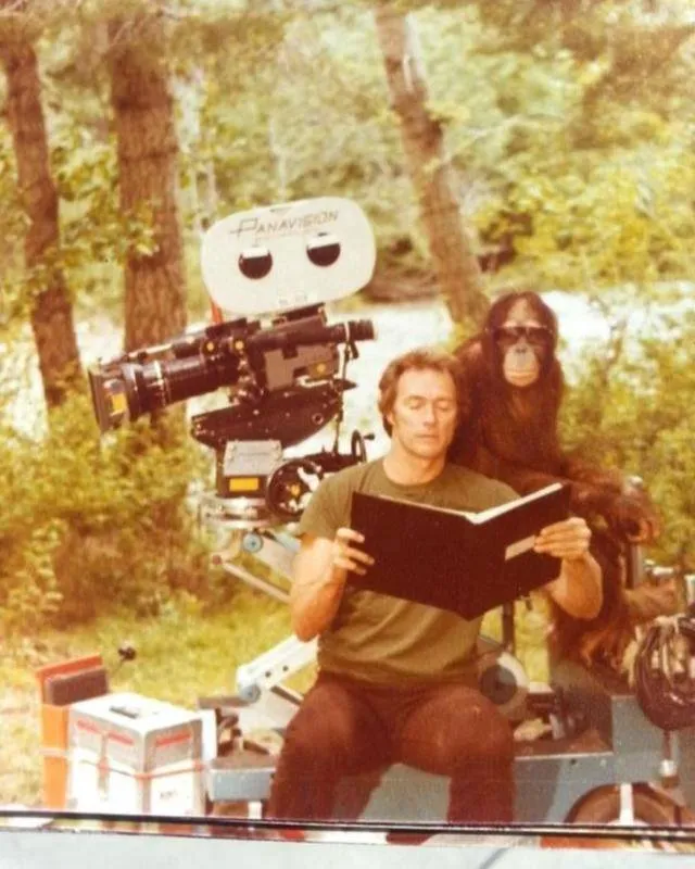 Clint Eastwood Had An Unexpected Co-Star, An Orangutan