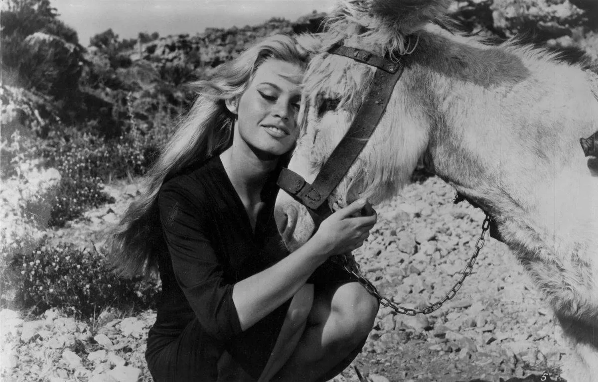 Brigitte Bardot Found Solace Playing Flamenco Guitar