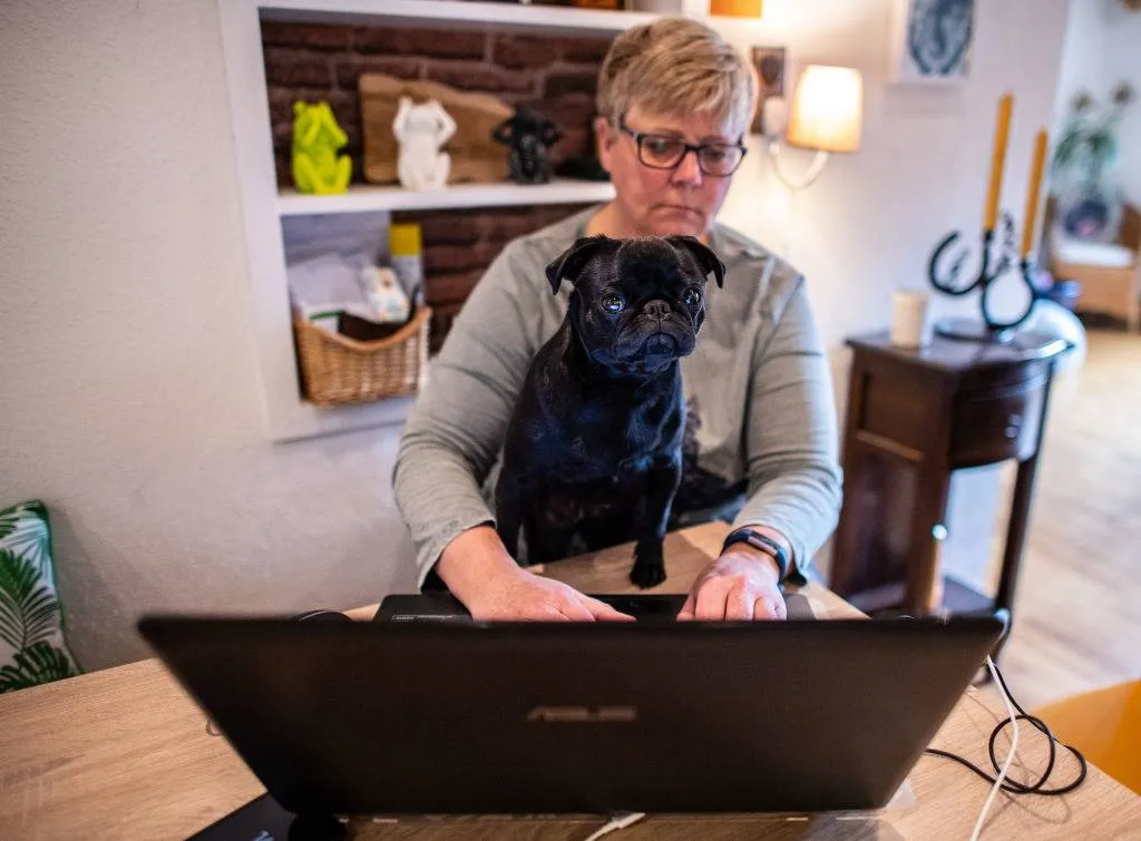 woman holding a black pug while working on a laptop