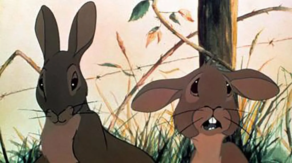 Animated rabbits 