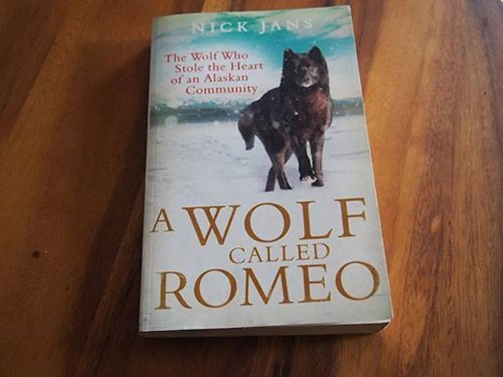 The book A Wolf Called Romeo sits on a table.